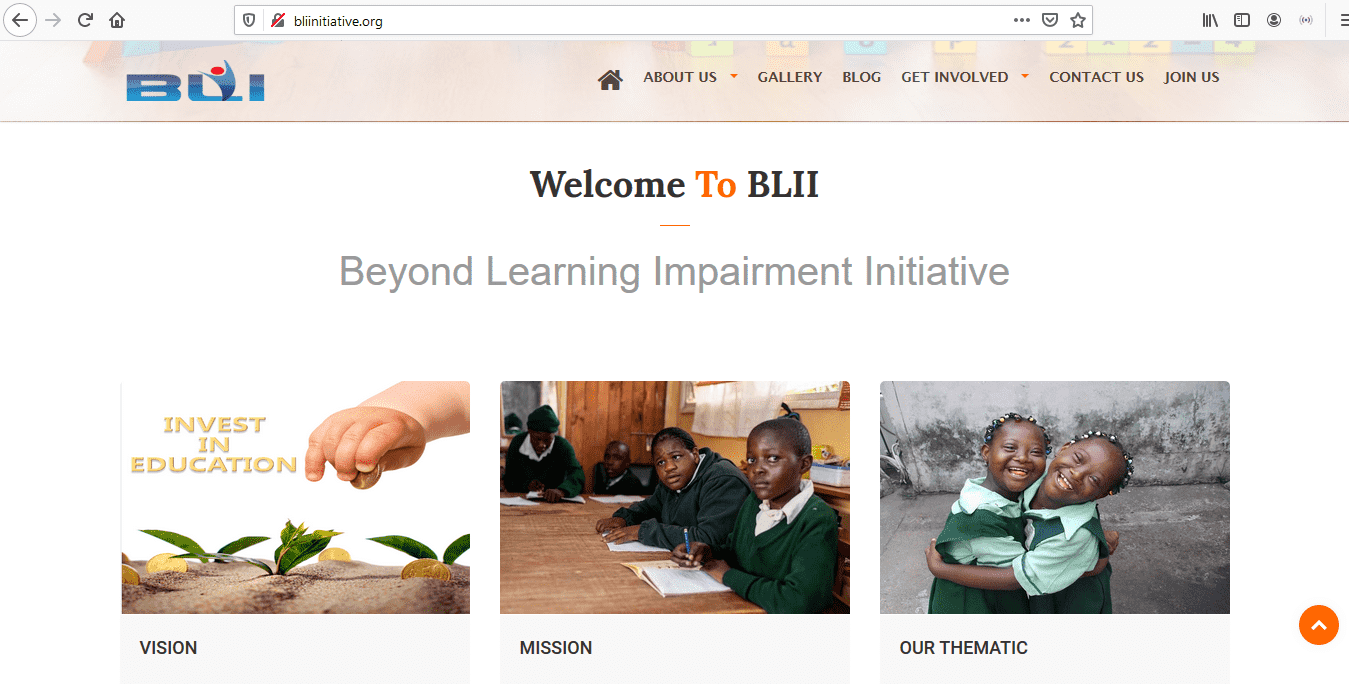 Beyond Learning Impairment Initiative